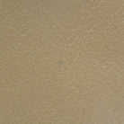 167418850.jpg